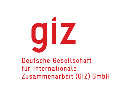 giz logo