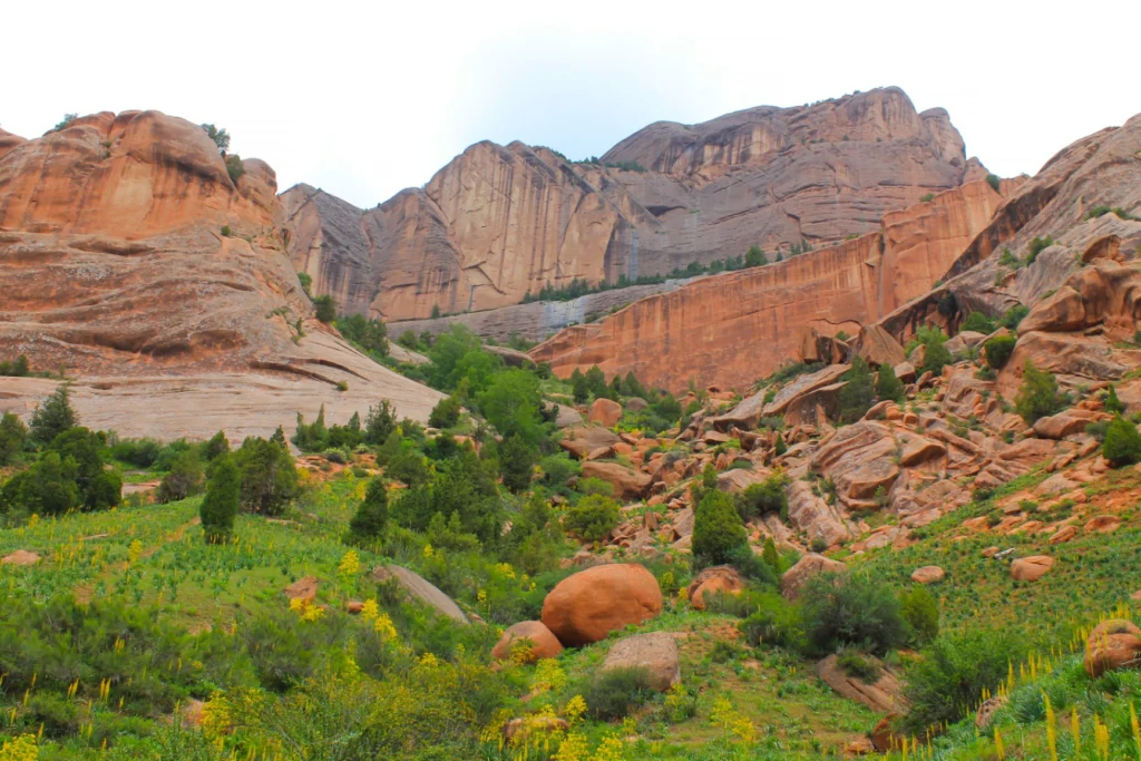 kojo kelen kyrgyzstan